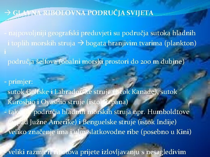  GLAVNA RIBOLOVNA PODRUČJA SVIJETA - najpovoljniji geografski preduvjeti su područja sutoka hladnih i