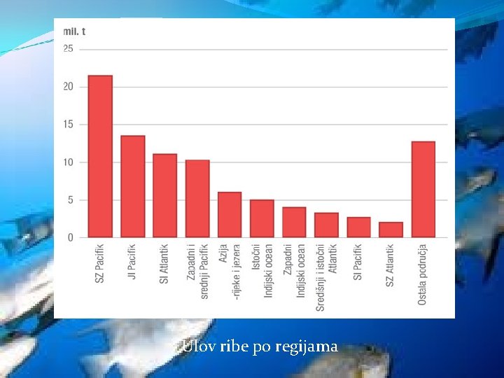 Ulov ribe po regijama 