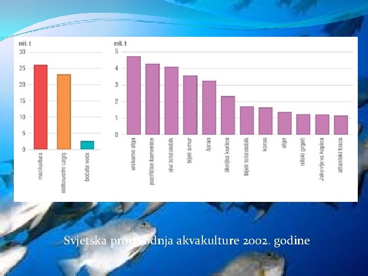 Svjetska proizvodnja akvakulture 2002. godine 
