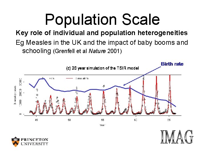 Population Scale Key role of individual and population heterogeneities Eg Measles in the UK