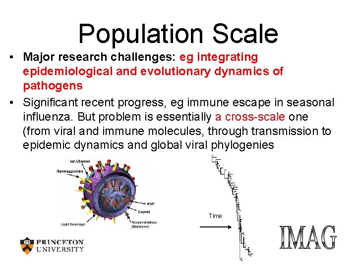 Population Scale • Major research challenges: eg integrating epidemiological and evolutionary dynamics of pathogens