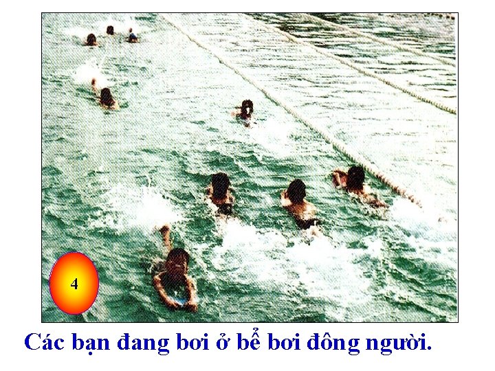 4 Các bạn đang bơi ở bể bơi đông người. 