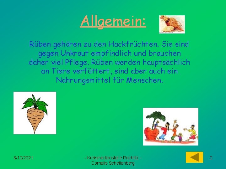 Allgemein: Rüben gehören zu den Hackfrüchten. Sie sind gegen Unkraut empfindlich und brauchen daher