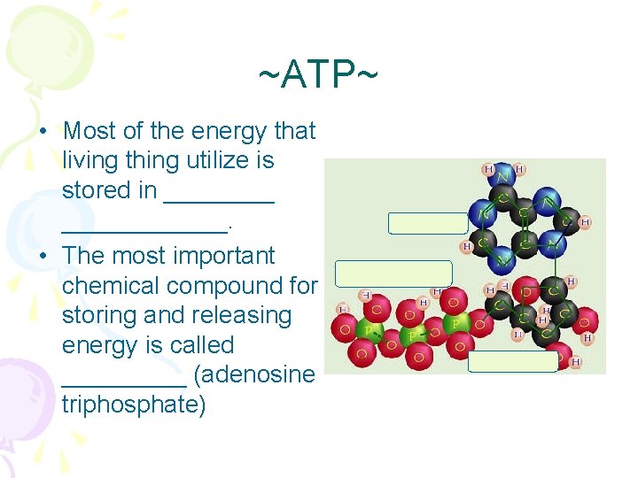 ~ATP~ • Most of the energy that living thing utilize is stored in ____________.