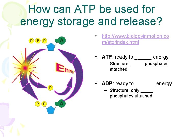 How can ATP be used for energy storage and release? • http: //www. biologyinmotion.
