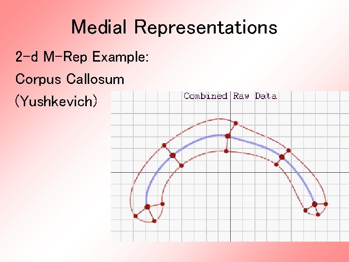 Medial Representations 2 -d M-Rep Example: Corpus Callosum (Yushkevich) 