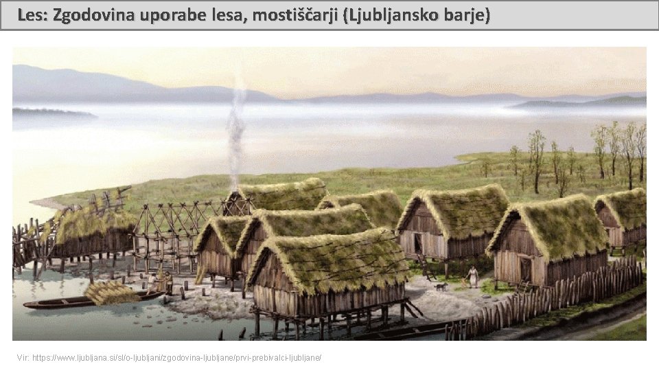 Les: Zgodovina uporabe lesa, mostiščarji (Ljubljansko barje) Vir: https: //www. ljubljana. si/sl/o-ljubljani/zgodovina-ljubljane/prvi-prebivalci-ljubljane/ 