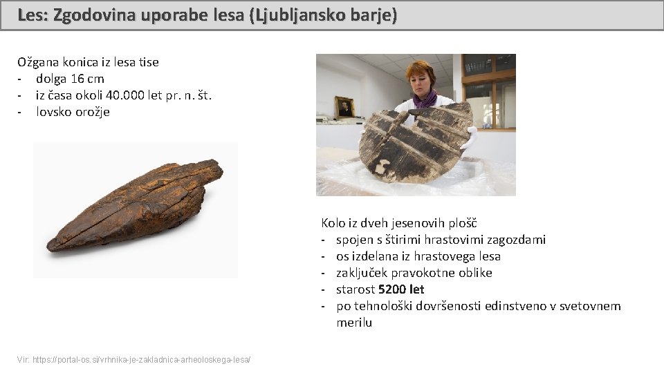 Les: Zgodovina uporabe lesa (Ljubljansko barje) Ožgana konica iz lesa tise - dolga 16