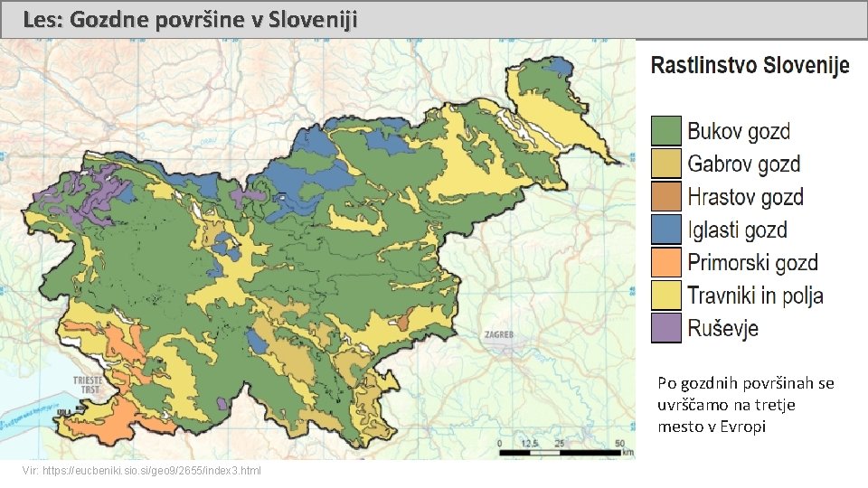 Les: Gozdne površine v Sloveniji Po gozdnih površinah se uvrščamo na tretje mesto v