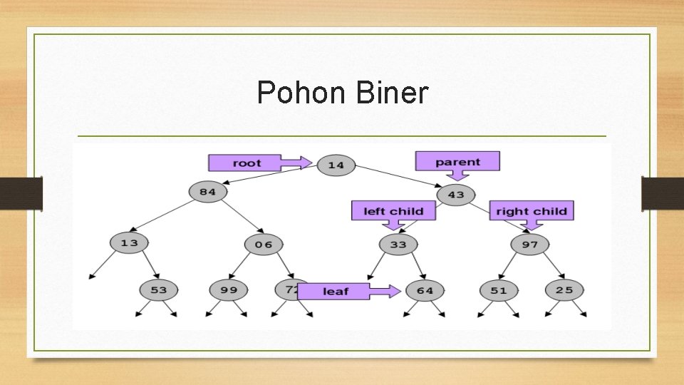 Pohon Biner 