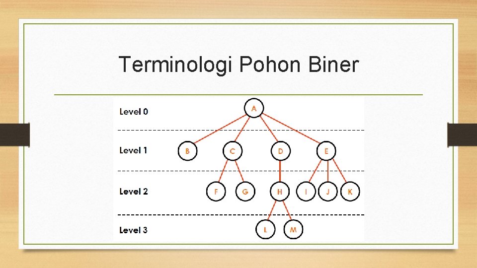 Terminologi Pohon Biner 