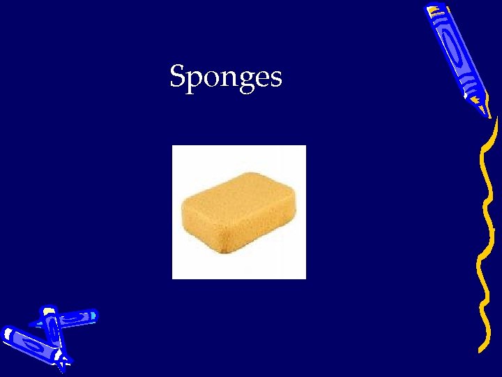 Sponges 