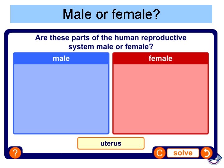 Male or female? 