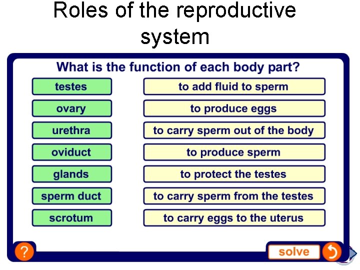 Roles of the reproductive system 