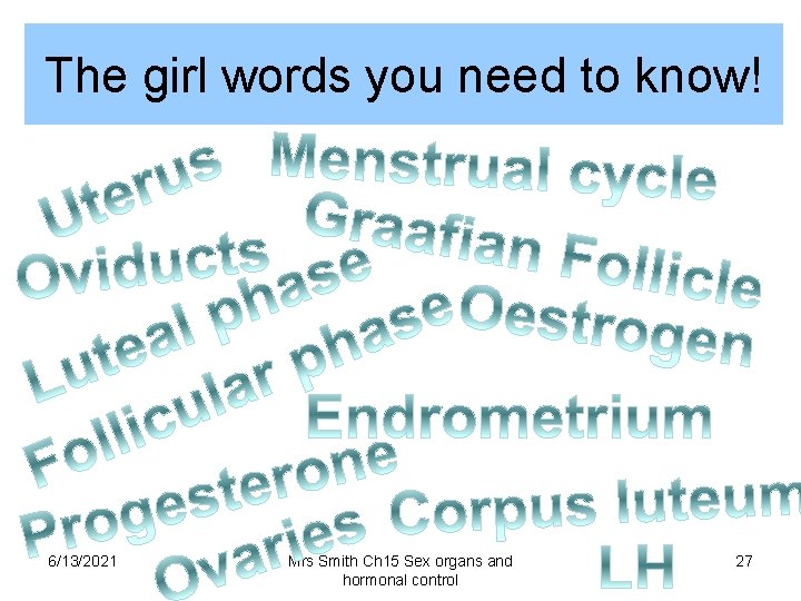 The girl words you need to know! 6/13/2021 Mrs Smith Ch 15 Sex organs