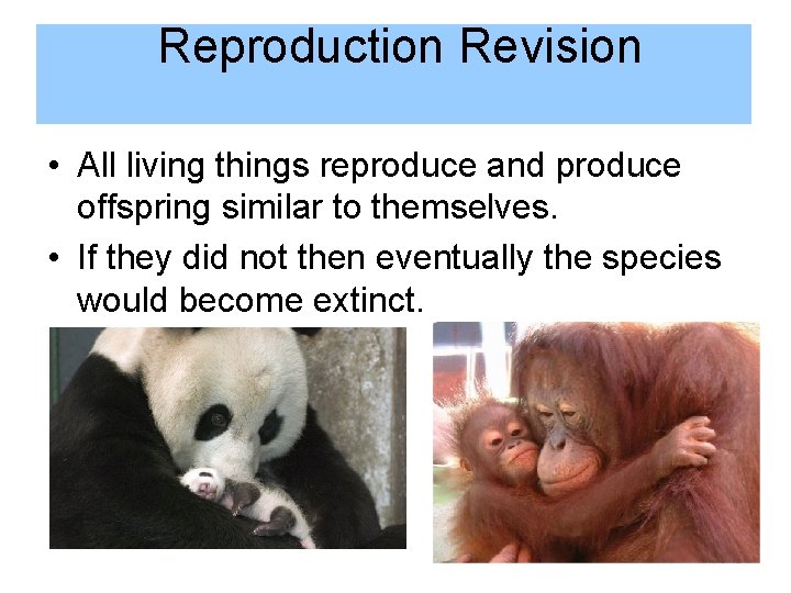 Reproduction Revision • All living things reproduce and produce offspring similar to themselves. •