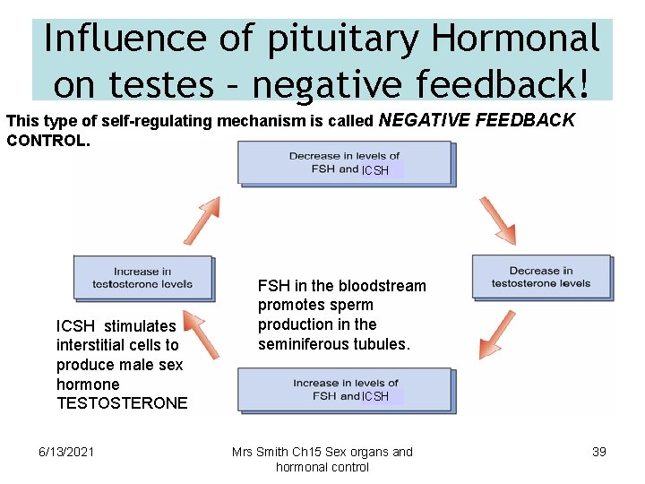 Influence of pituitary Hormonal on testes – negative feedback! This type of self-regulating mechanism