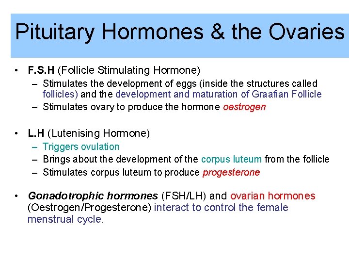 Pituitary Hormones & the Ovaries • F. S. H (Follicle Stimulating Hormone) – Stimulates