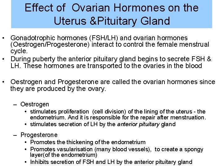 Effect of Ovarian Hormones on the Uterus &Pituitary Gland • Gonadotrophic hormones (FSH/LH) and