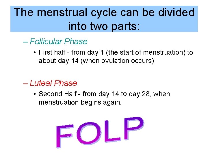 The menstrual cycle can be divided into two parts: – Follicular Phase • First