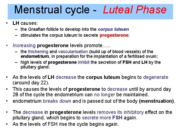 Menstrual cycle - Luteal Phase • LH causes: – the Graafian follicle to develop