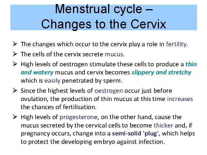 Menstrual cycle – Changes to the Cervix Ø The changes which occur to the