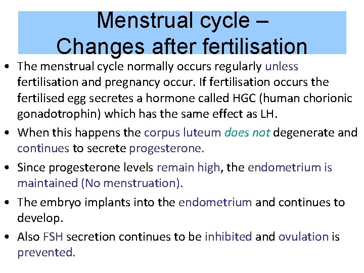 Menstrual cycle – Changes after fertilisation • The menstrual cycle normally occurs regularly unless