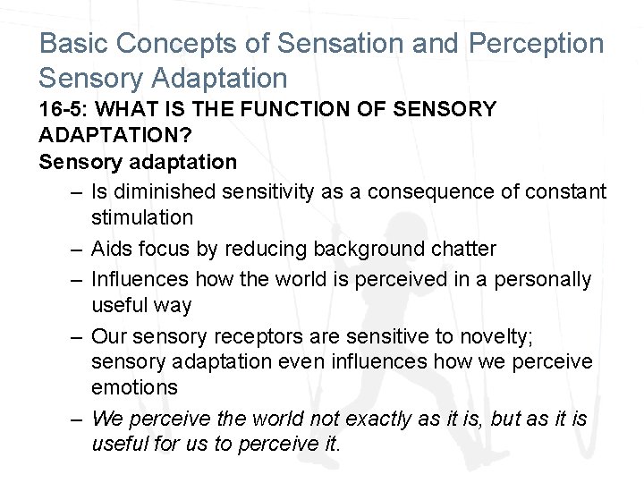 Basic Concepts of Sensation and Perception Sensory Adaptation 16 -5: WHAT IS THE FUNCTION