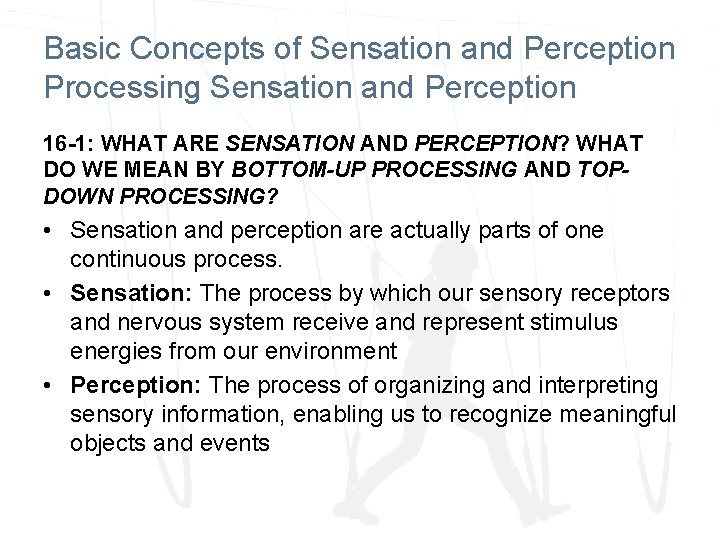 Basic Concepts of Sensation and Perception Processing Sensation and Perception 16 -1: WHAT ARE
