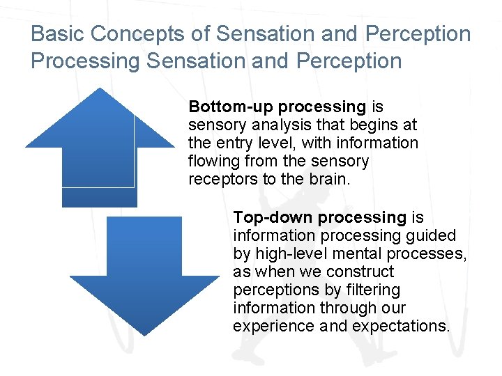 Module 16 Basic Concepts of Sensation and Perception