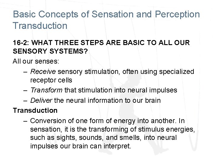 Basic Concepts of Sensation and Perception Transduction 16 -2: WHAT THREE STEPS ARE BASIC