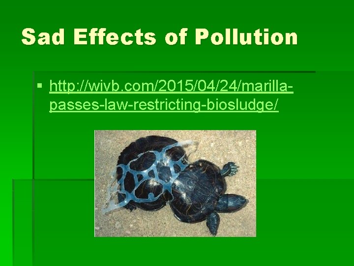 Sad Effects of Pollution § http: //wivb. com/2015/04/24/marillapasses-law-restricting-biosludge/ 