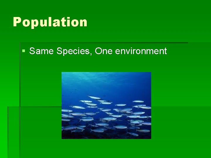 Population § Same Species, One environment 