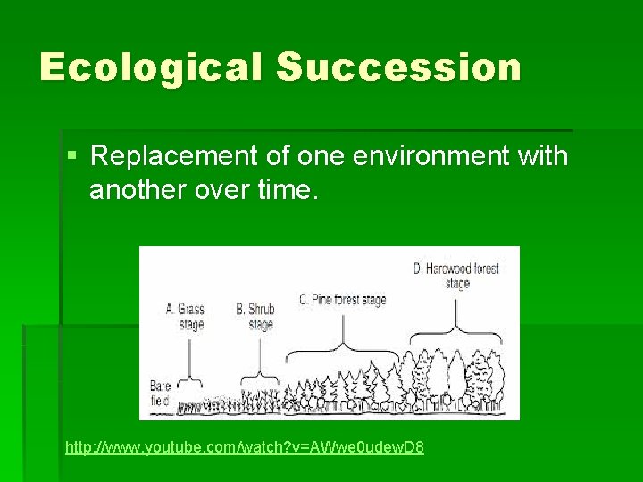 Ecological Succession § Replacement of one environment with another over time. http: //www. youtube.