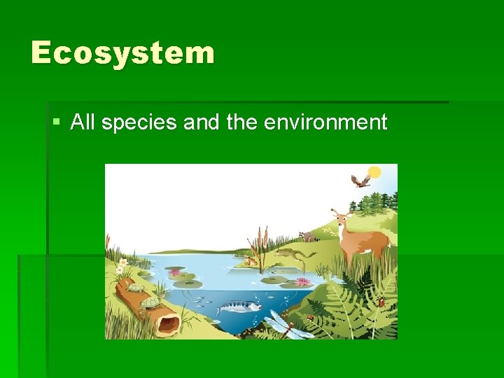 Ecosystem § All species and the environment 