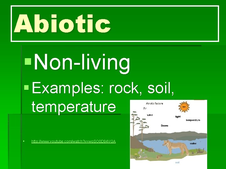 Abiotic §Non-living § Examples: rock, soil, temperature § http: //www. youtube. com/watch? v=wo. SO