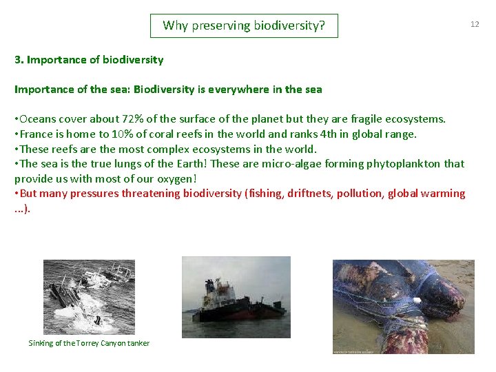 Why preserving biodiversity? 3. Importance of biodiversity Importance of the sea: Biodiversity is everywhere