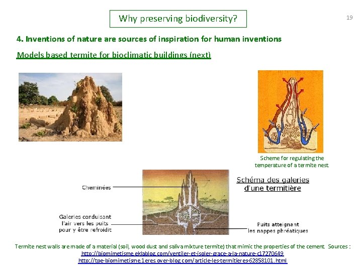 Why preserving biodiversity? 19 4. Inventions of nature are sources of inspiration for human