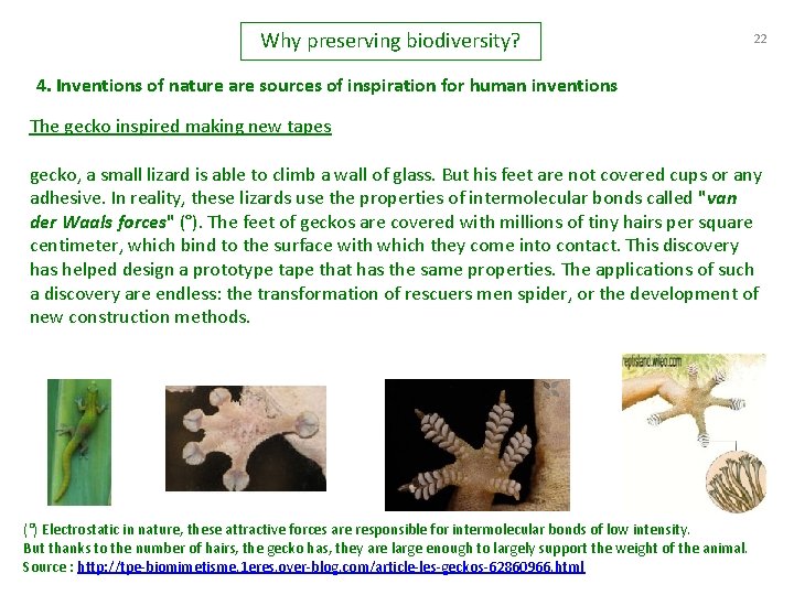 Why preserving biodiversity? 22 4. Inventions of nature are sources of inspiration for human