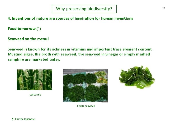 Why preserving biodiversity? 4. Inventions of nature are sources of inspiration for human inventions