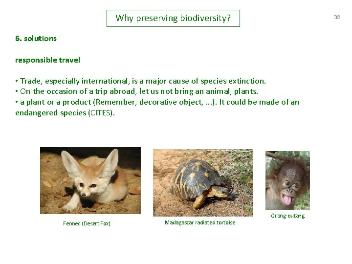 Why preserving biodiversity? 38 6. solutions responsible travel • Trade, especially international, is a