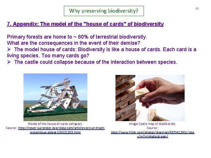 Why preserving biodiversity? 44 7. Appendix: The model of the "house of cards" of