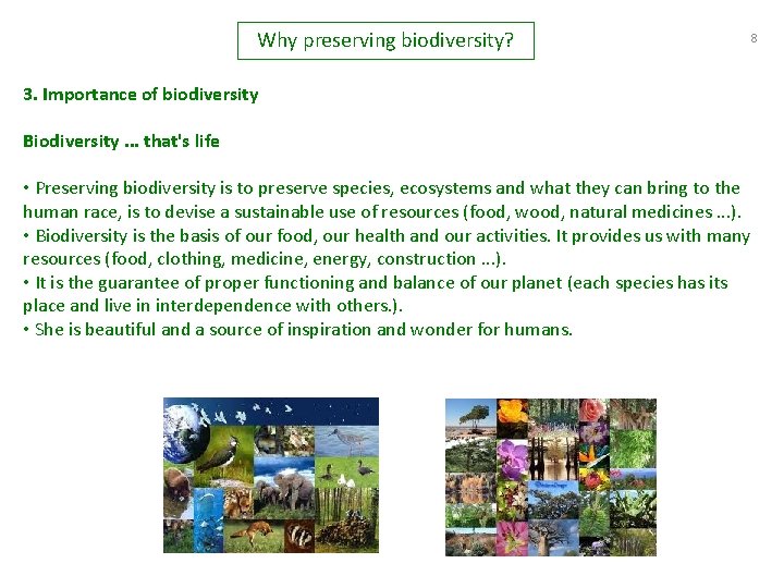 Why preserving biodiversity? 3. Importance of biodiversity Biodiversity. . . that's life • Preserving