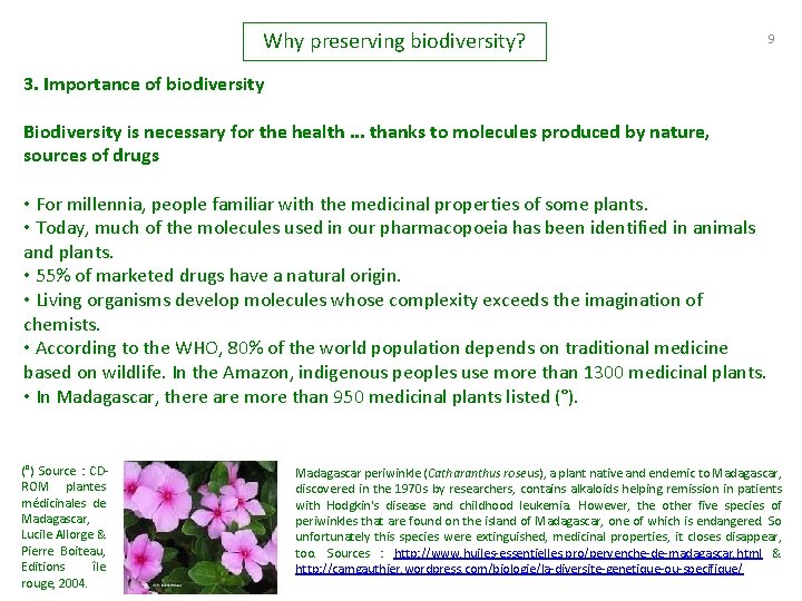 Why preserving biodiversity? 9 3. Importance of biodiversity Biodiversity is necessary for the health.