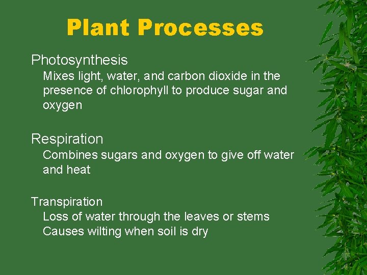 Plant Processes Photosynthesis Mixes light, water, and carbon dioxide in the presence of chlorophyll