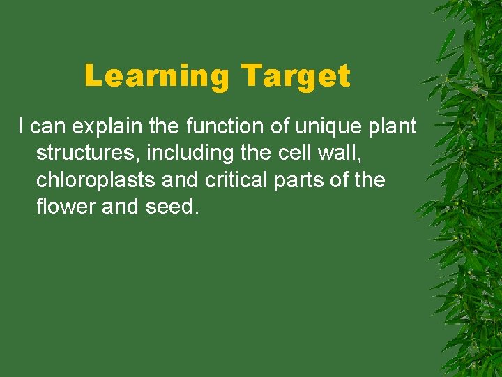 Learning Target I can explain the function of unique plant structures, including the cell