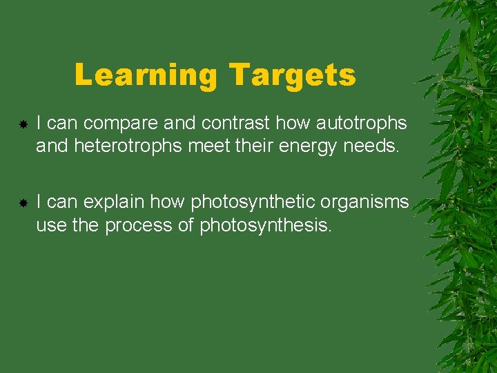 Learning Targets I can compare and contrast how autotrophs and heterotrophs meet their energy