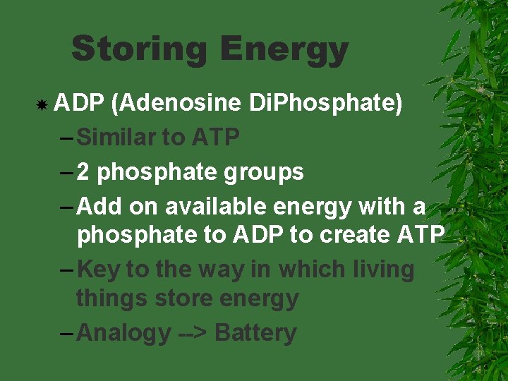 Storing Energy ADP (Adenosine Di. Phosphate) – Similar to ATP – 2 phosphate groups