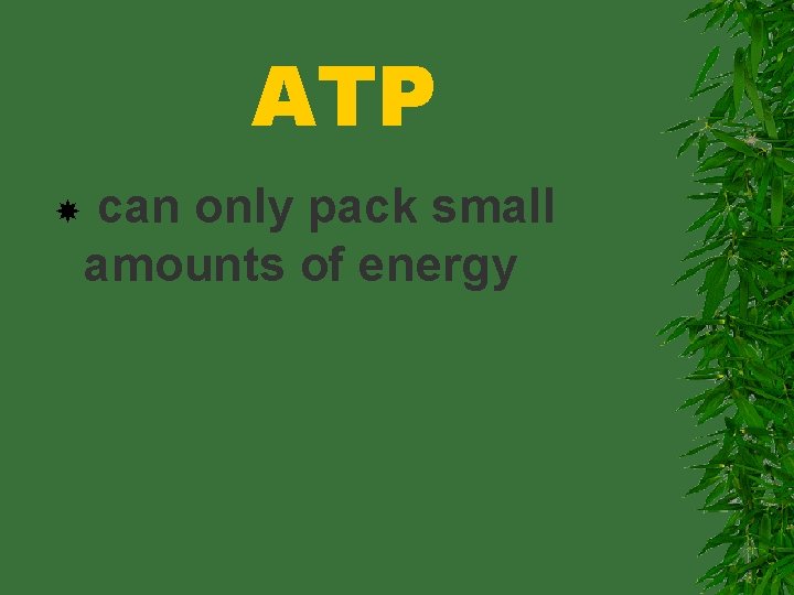 ATP can only pack small amounts of energy 