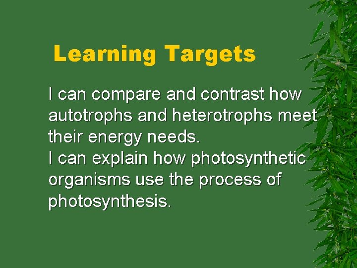Learning Targets I can compare and contrast how autotrophs and heterotrophs meet their energy